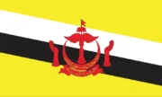 Brunei Consumer Phone number Data