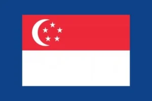 Singapore Phone Number