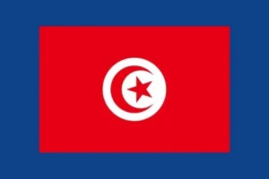 Tunisia Phone Number