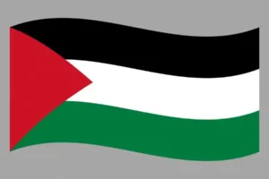 Palestine Consumer Email Lists