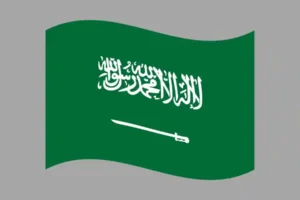 Saudi Arabia Consumer Email Lists