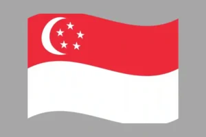 Singapore Consumer Email Lists